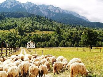 Natur in Rumänien und den Karpaten